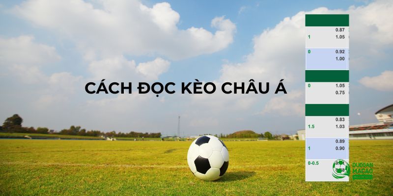 Cách đọc kèo bóng đá châu Á (Handicap)