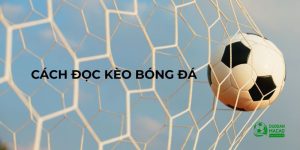 Cách đọc kèo bóng đá
