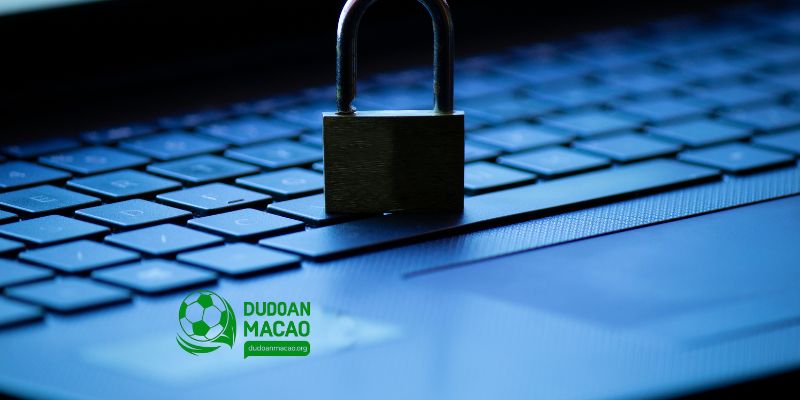 Tại dudoanmacao.org luôn quản lý thông tin người dùng hiệu quả