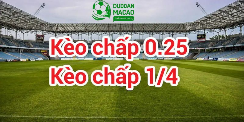Kèo chấp 1 1/4 trái là một trong những kèo phổ biến dễ chơi