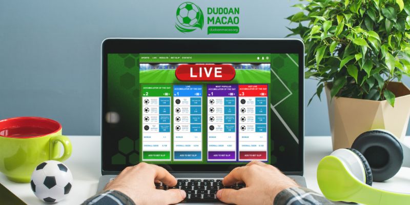 Chơi cá cược bóng đá tại dudoanmacao.org uy tín, chuyên nghiệp