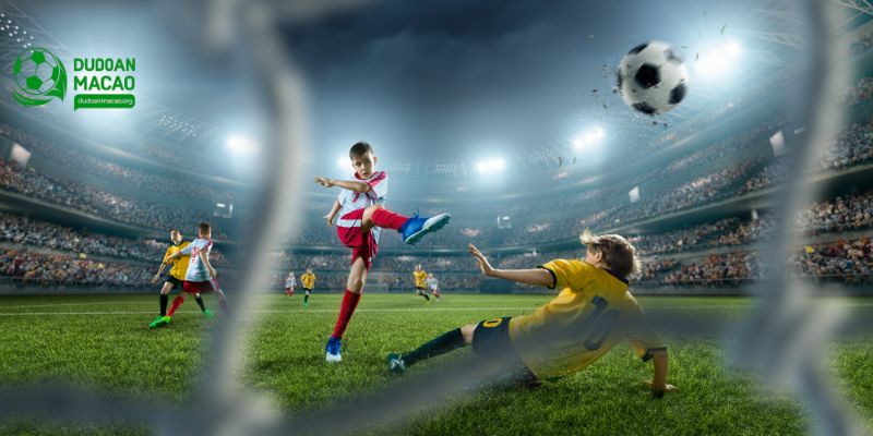 Các phương pháp phân tích các tỷ số kết quả dự đoán