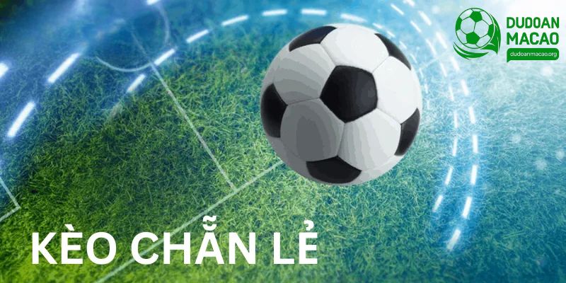 Cần lựa chọn cửa cược phù hợp khi tham gia chơi game