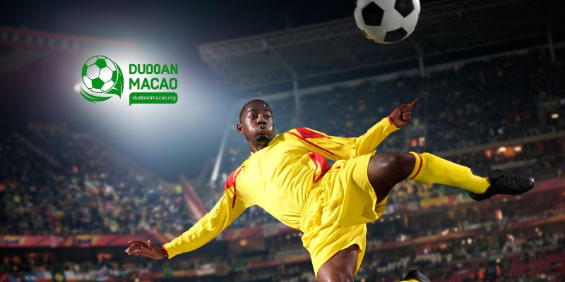 Tổng quan về kết quả bóng đá của Dudoanmacao